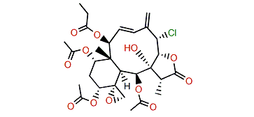 Fragilide P